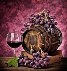 Vin
